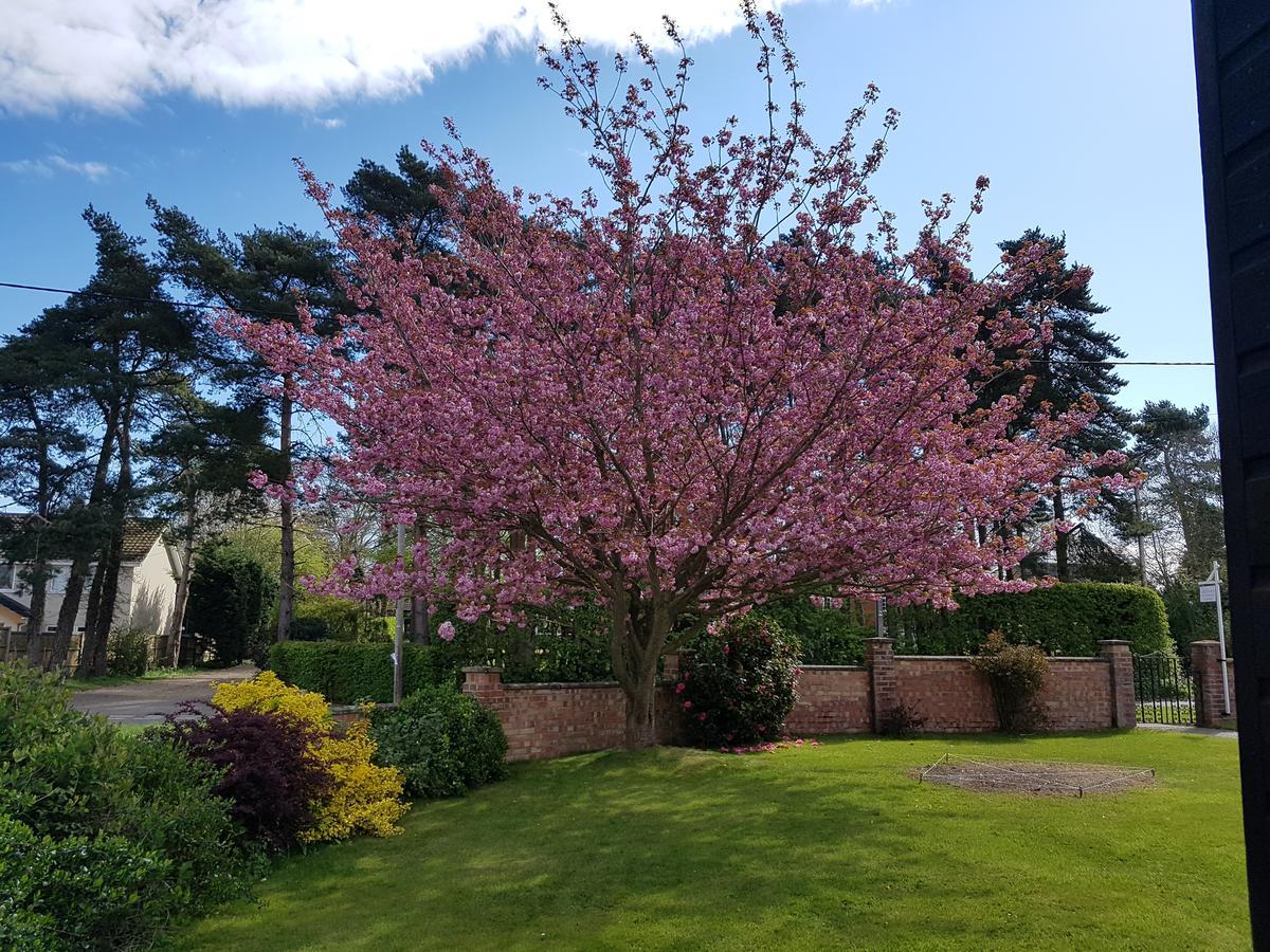 Leeward Bed & Breakfast South Walsham Eksteriør billede